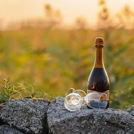 Holiday home Joesuu Puhkemaja Puhkemaja 6-le Joesuu (Tartu)