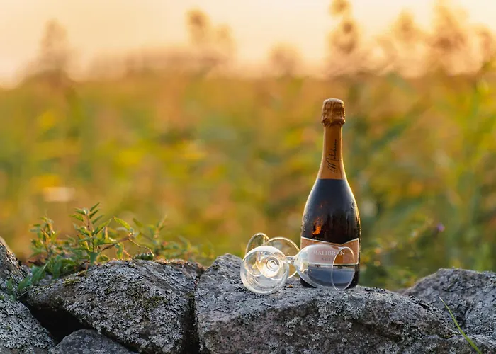 Casa de Férias Jõesuu Puhkemaja Puhkemaja 6-le Yyyezu