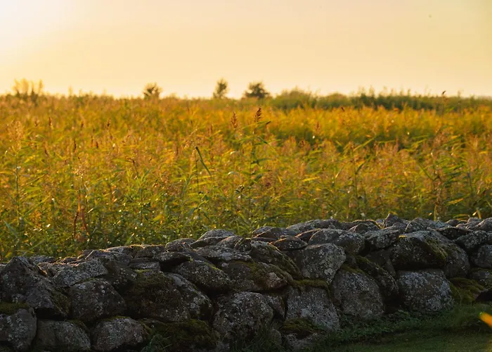 Joesuu Puhkemaja Puhkemaja 6-le Joesuu (Tartu)